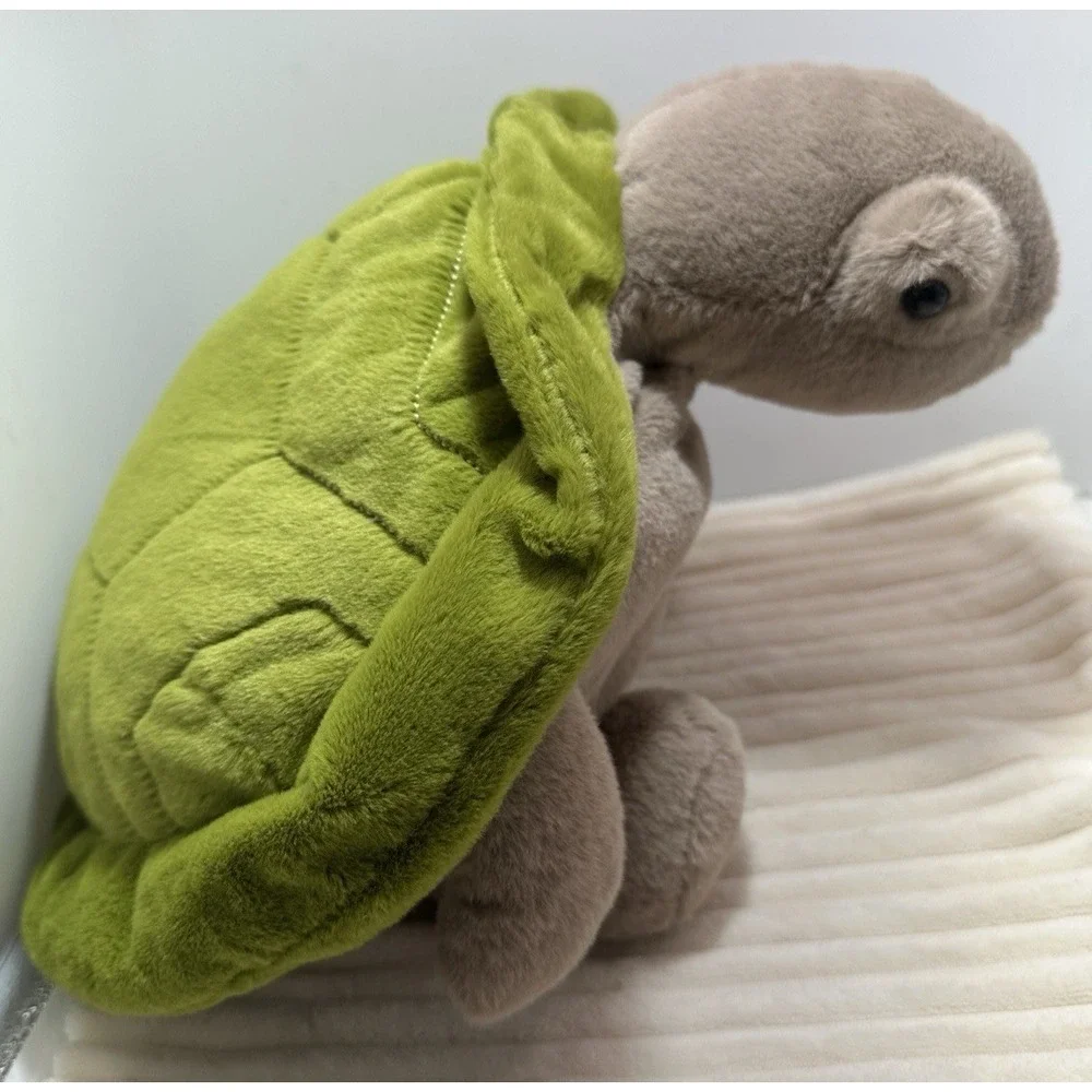 N/A turtle extra