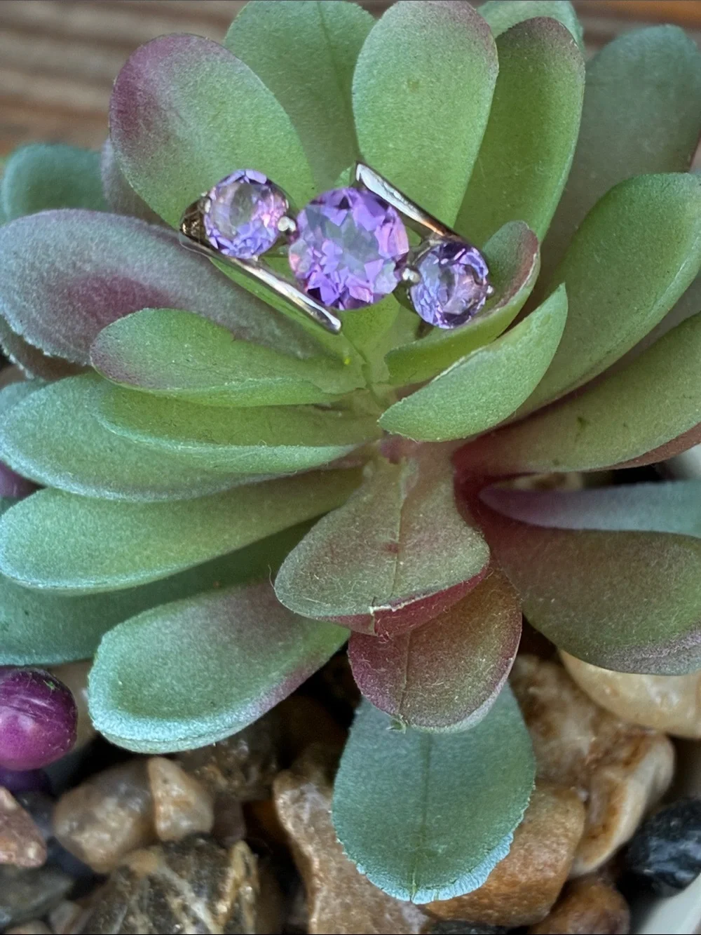 N/A elegant sterling