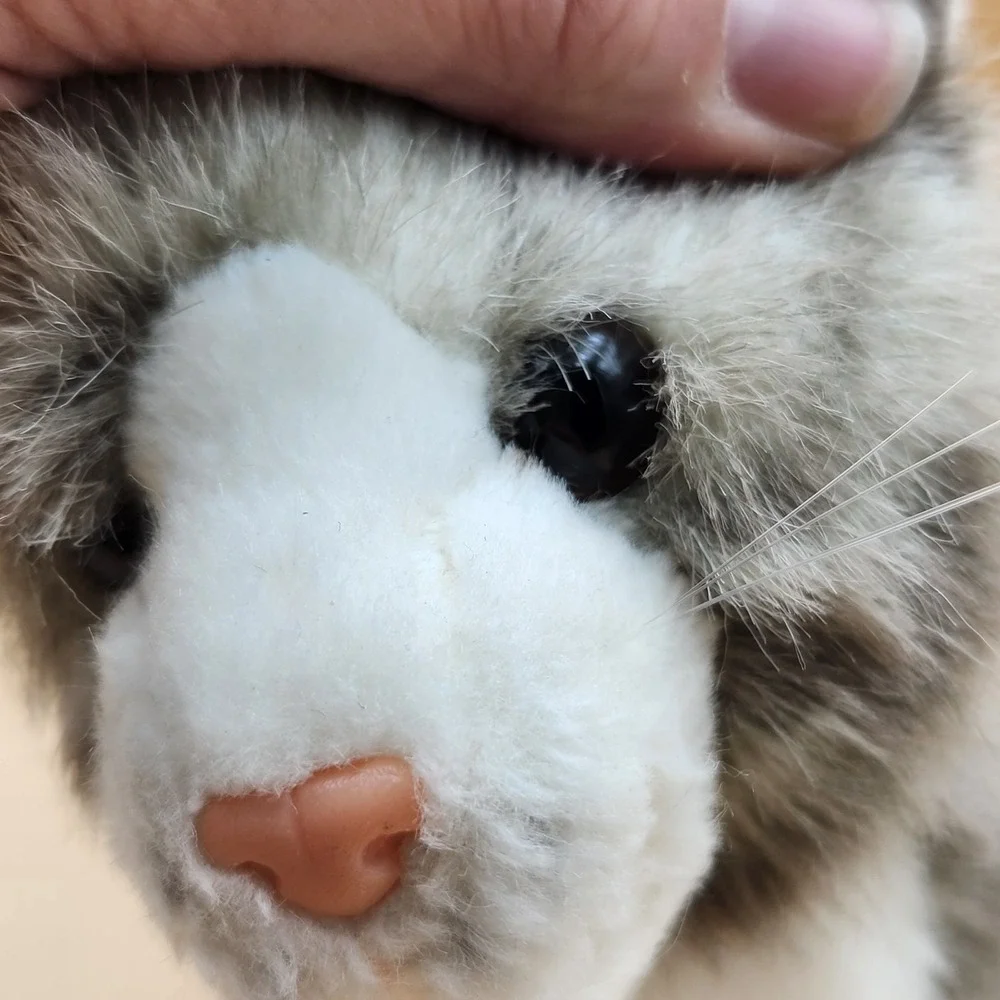 Douglas cuddle toy
