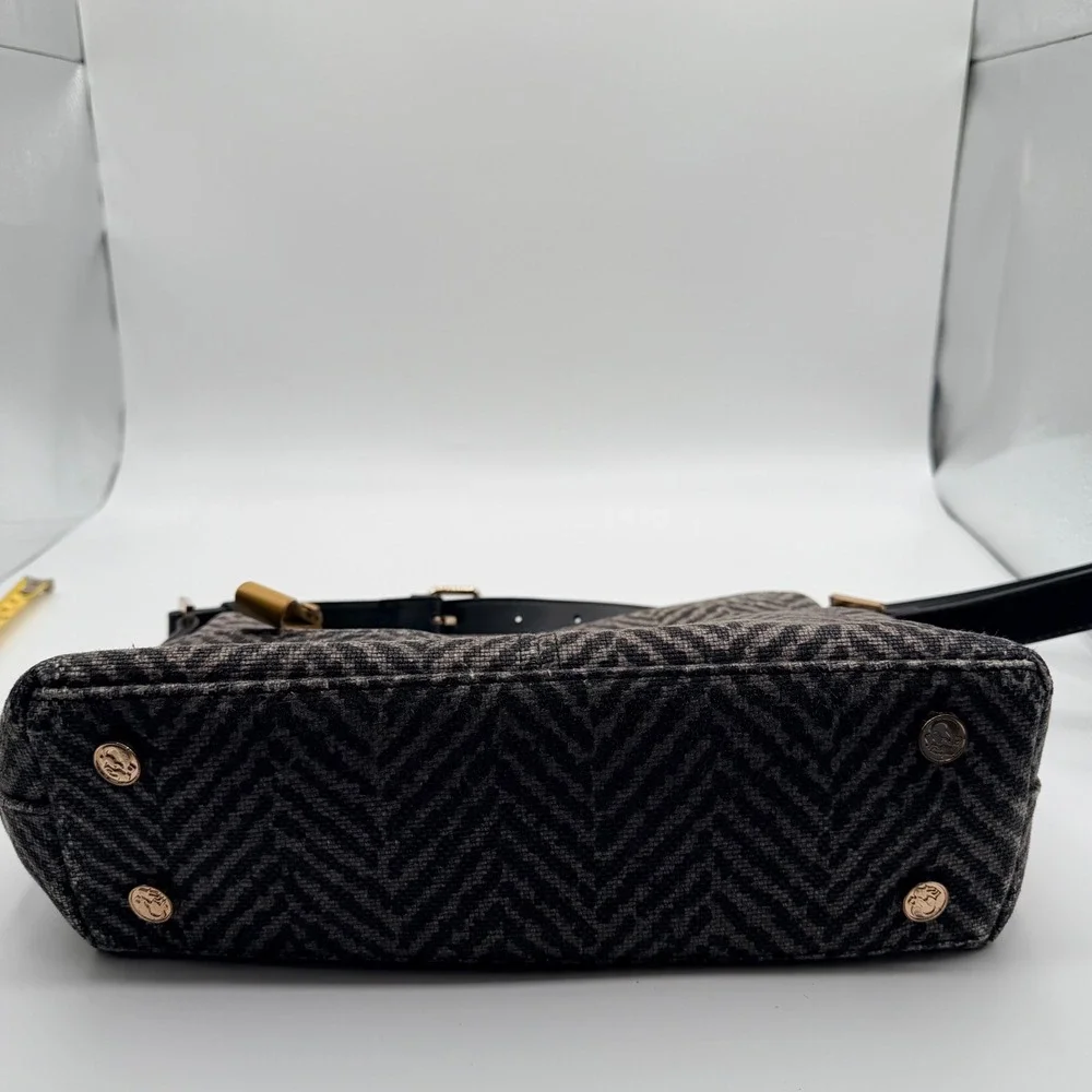 Spartina 449 measurements height