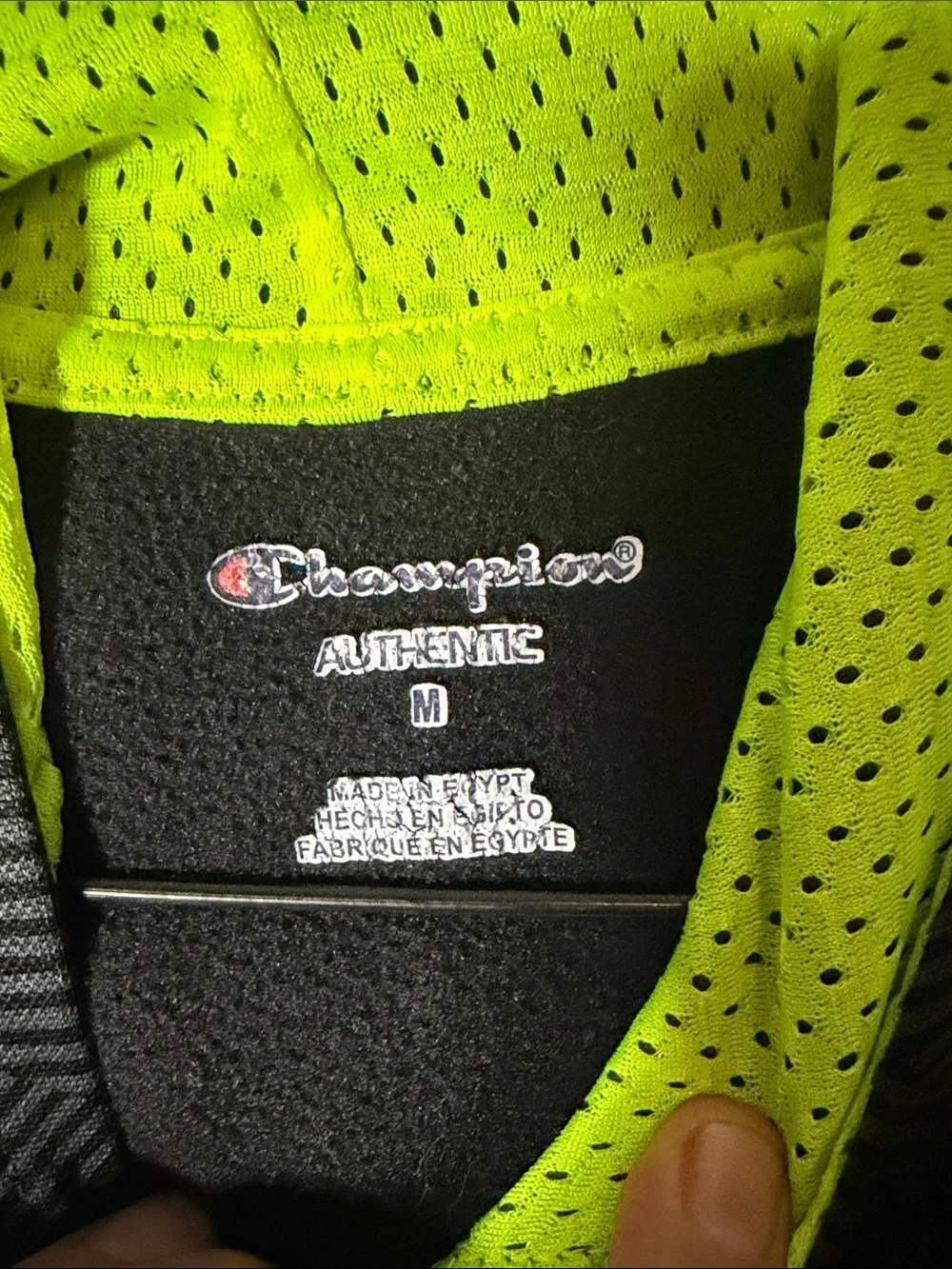 Champion zip up