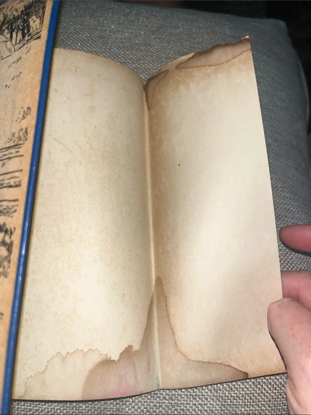 Whitman Publishing Co. vintage style