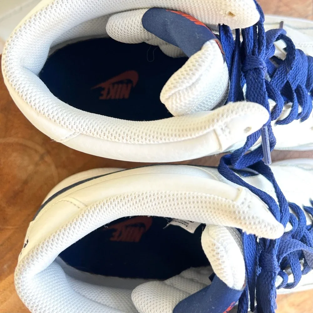 Nike men court