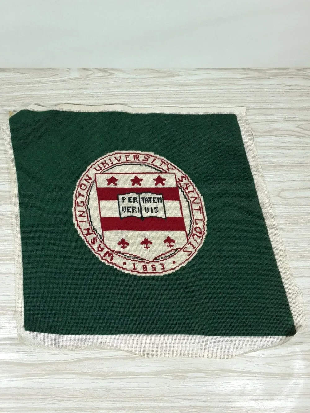 Vtg Washington Univ St Louis Rug 21