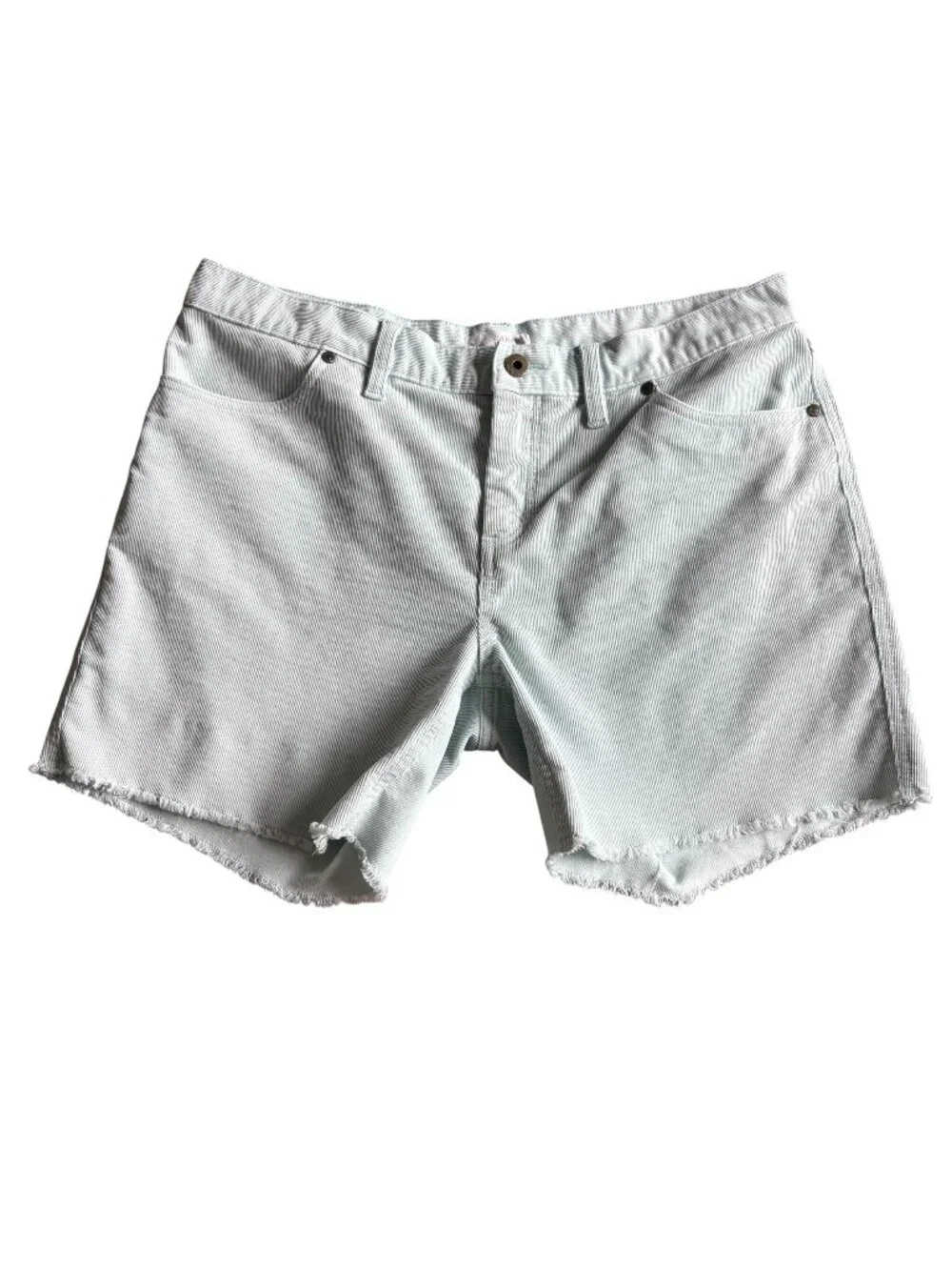 Carve Designs Oahu Shorts Corduroy Casual Light Blue 6