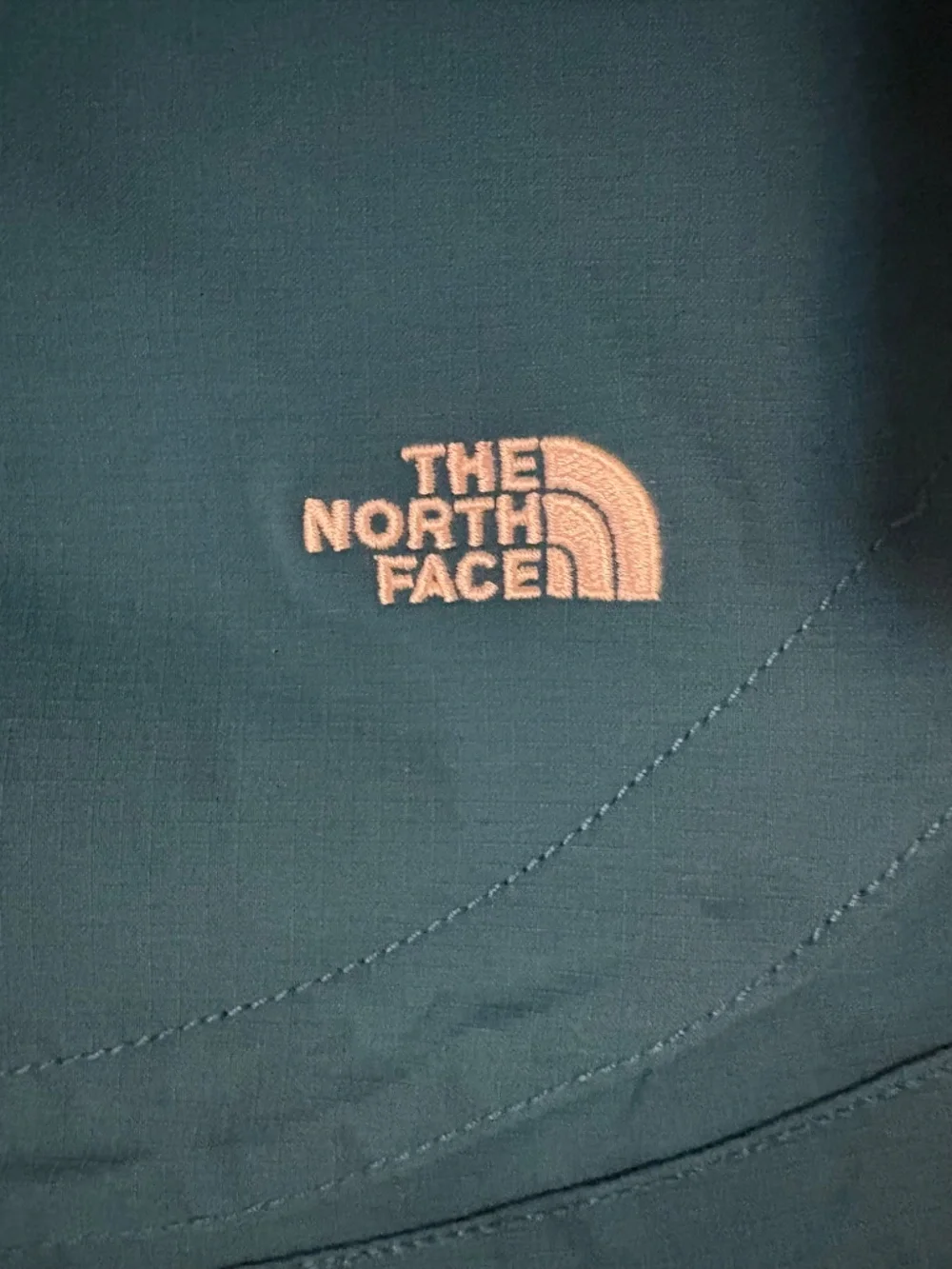 The North Face brand north