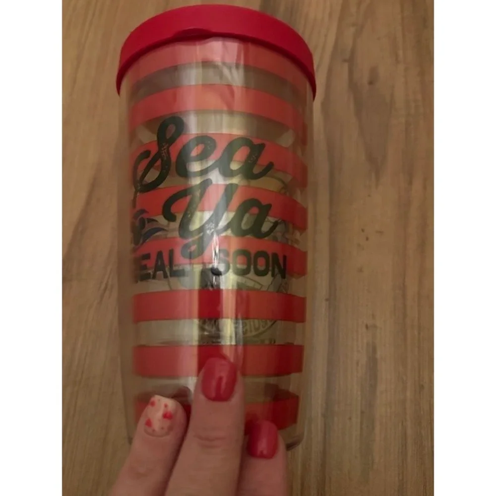tervis disney cruise