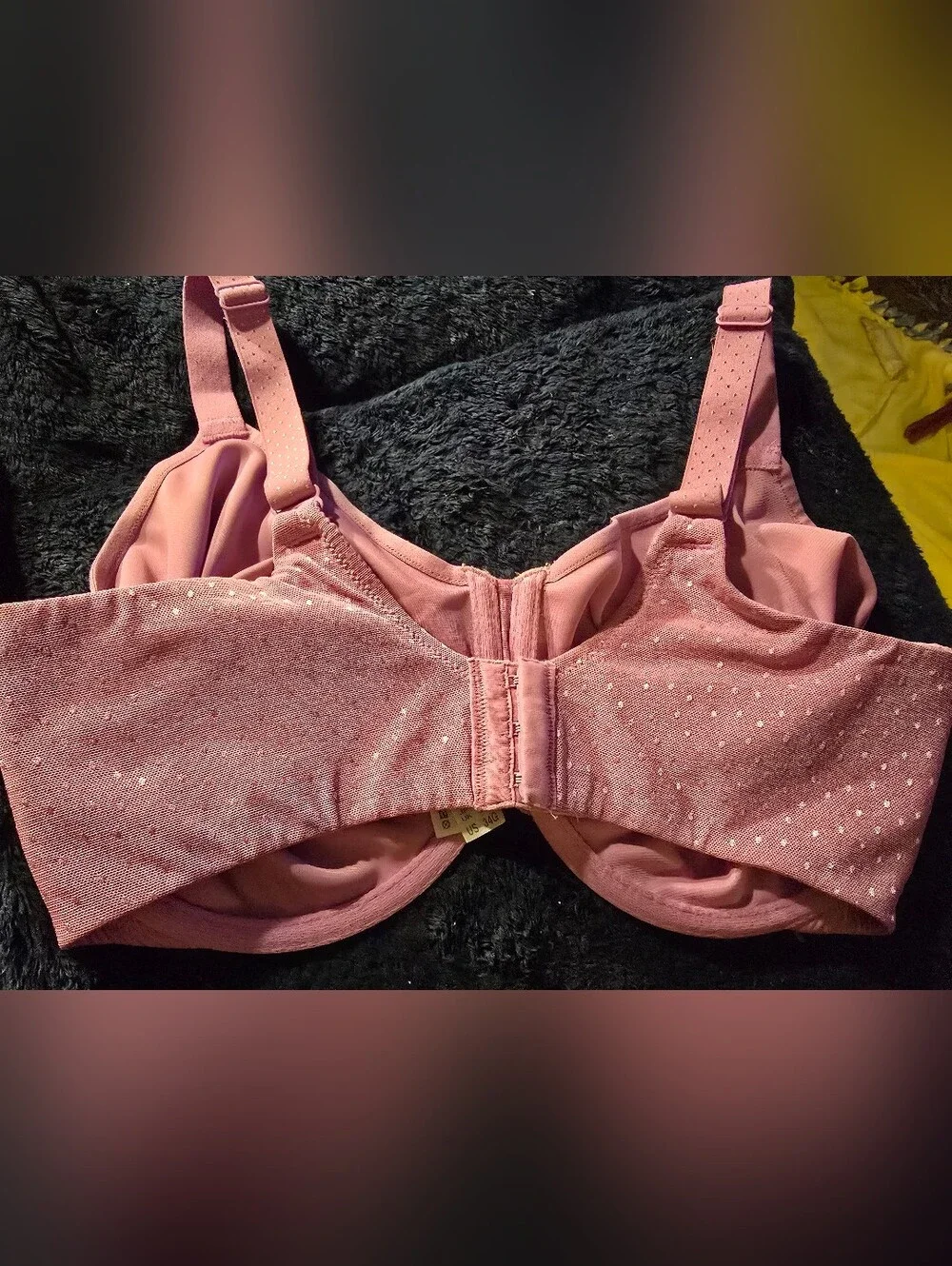 Wacoal women size