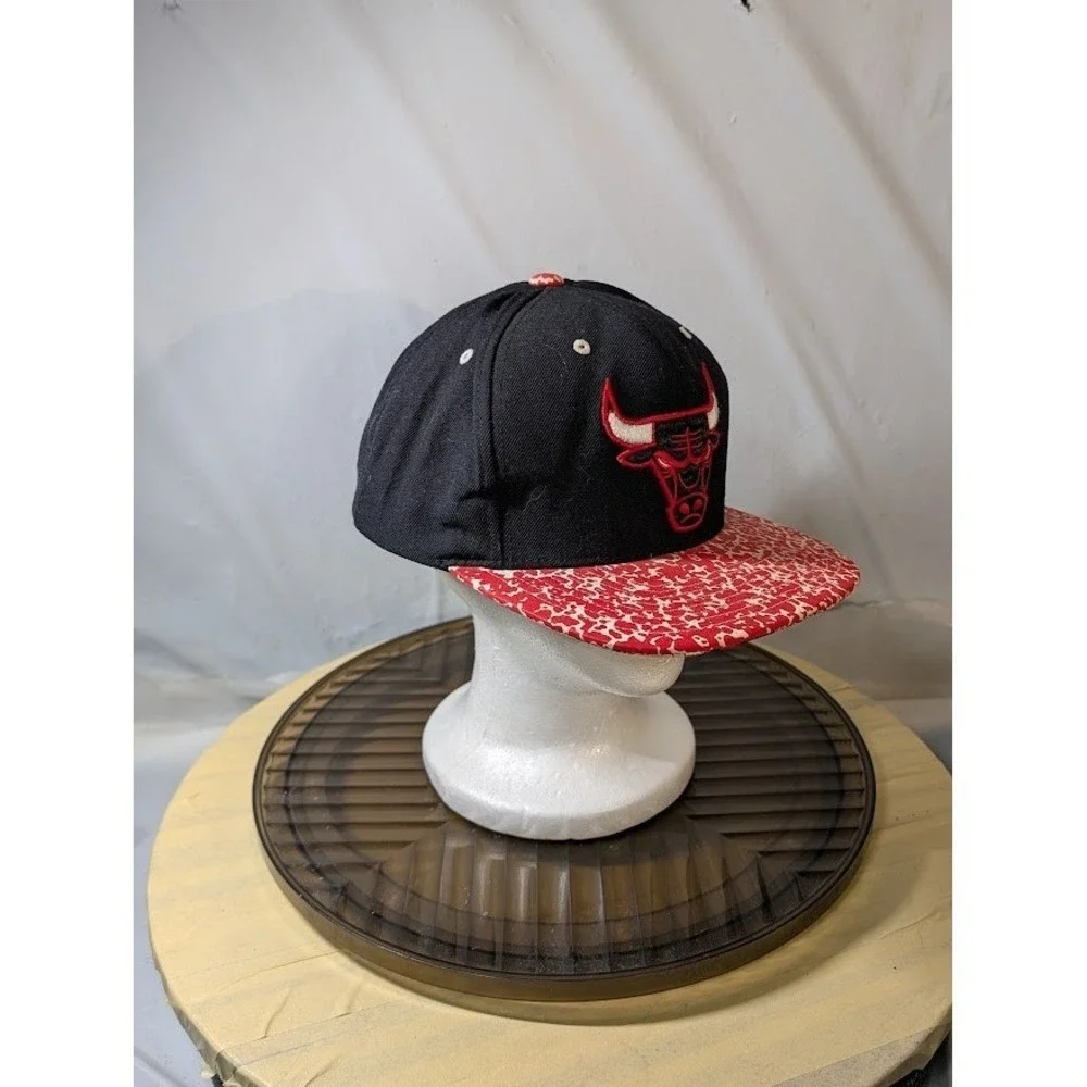 NBA chicago bulls