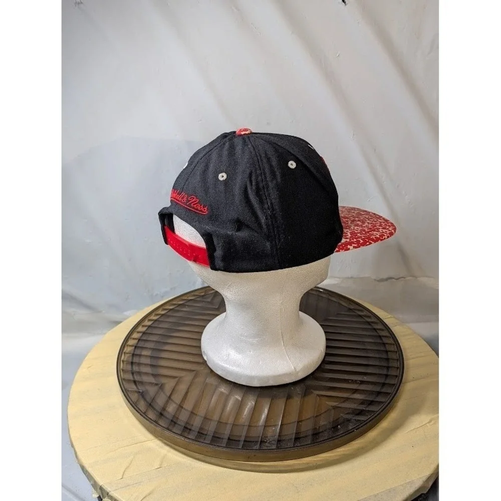 NBA chicago bulls