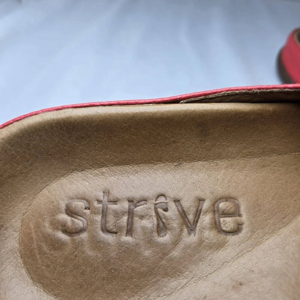 Strive alba buckle