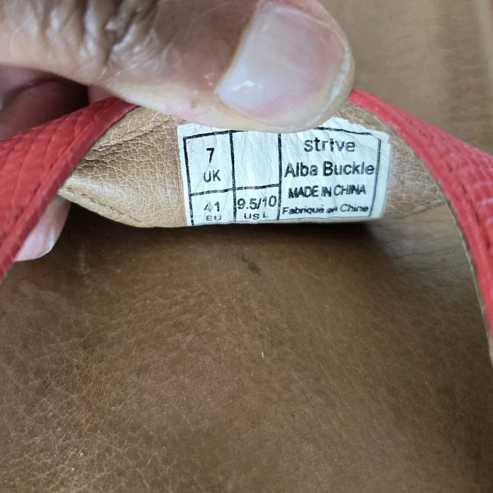 Strive alba buckle