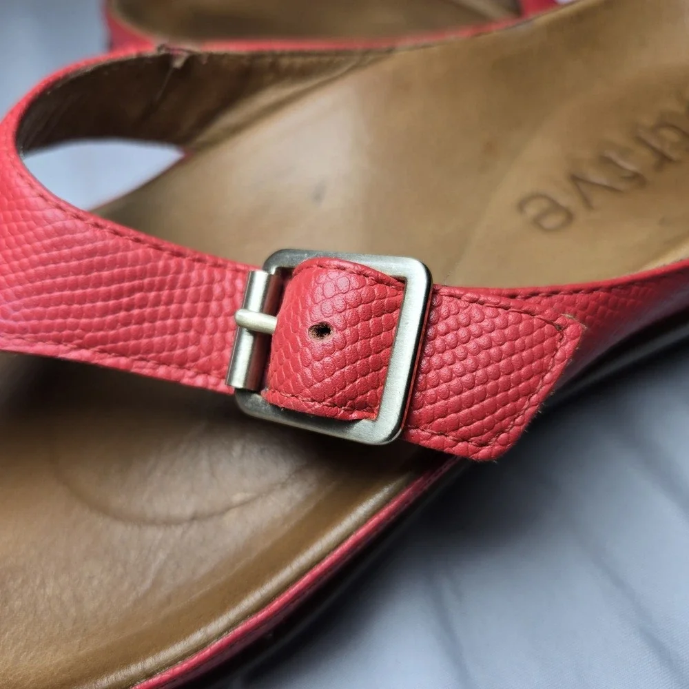 Strive alba buckle