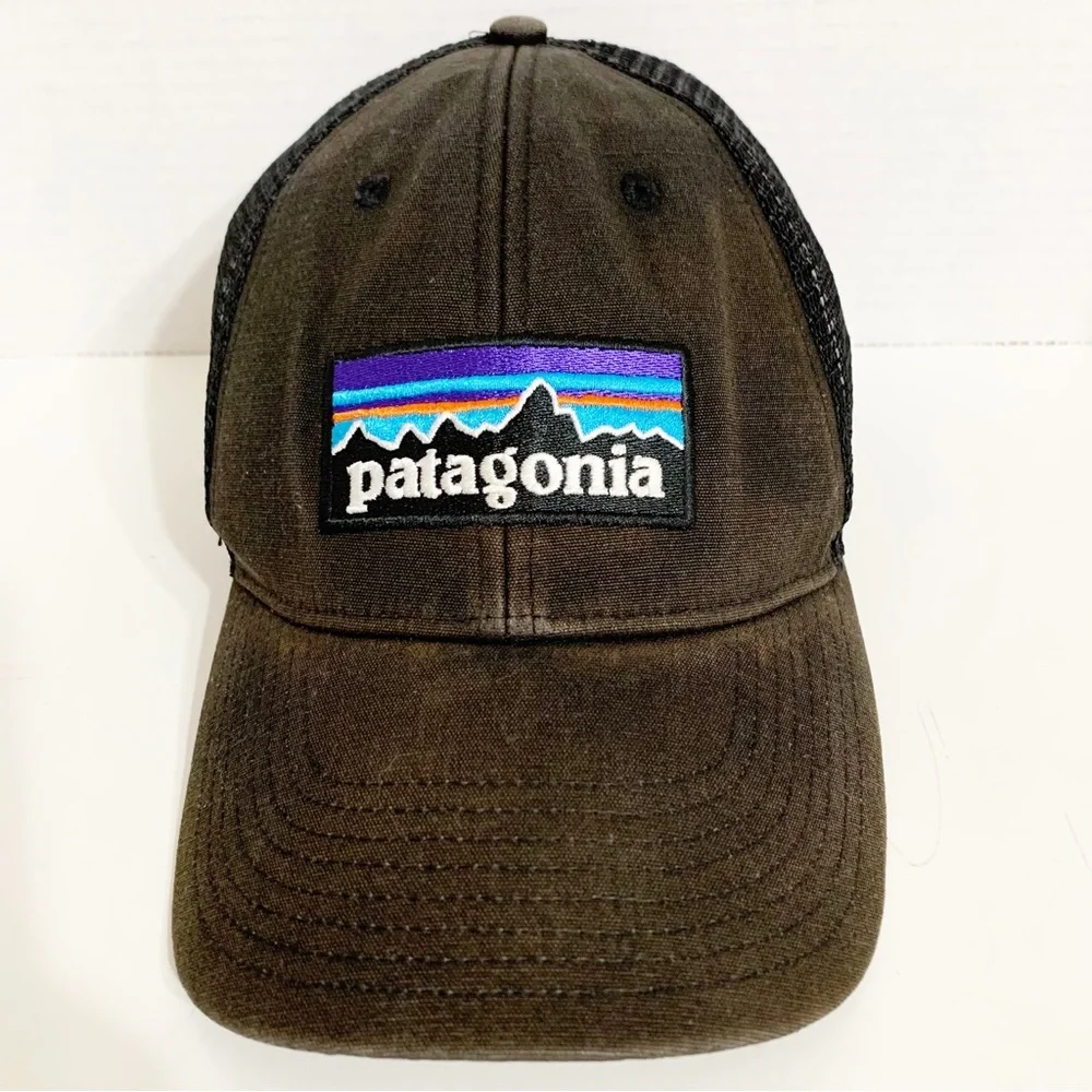 Patagonia logo faded