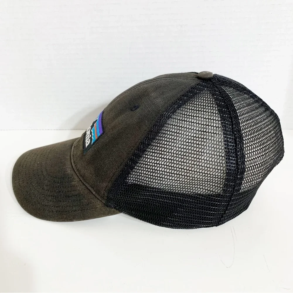 Patagonia logo faded