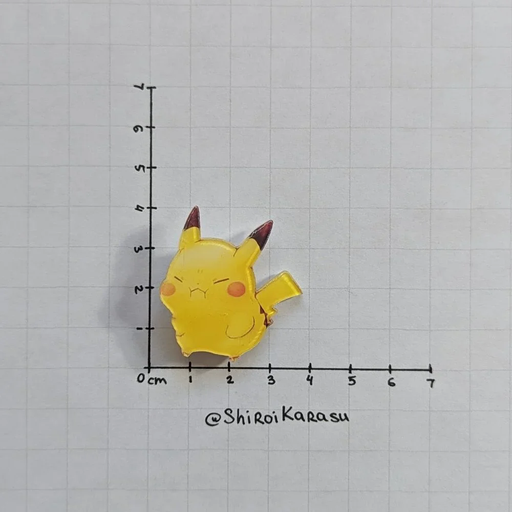 Pokemon picturing set