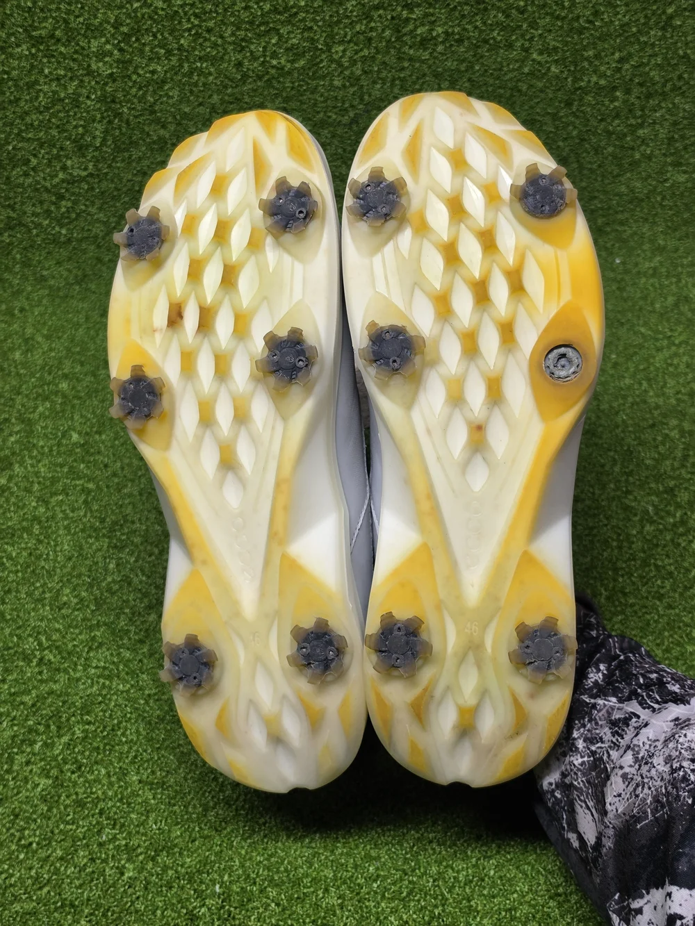 Ecco spikes will