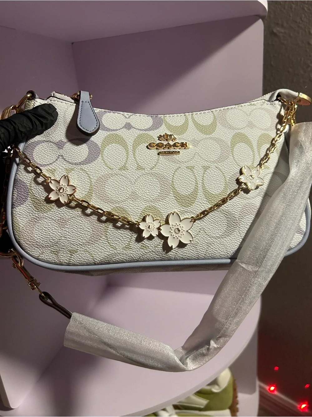 Coach mini crossbody