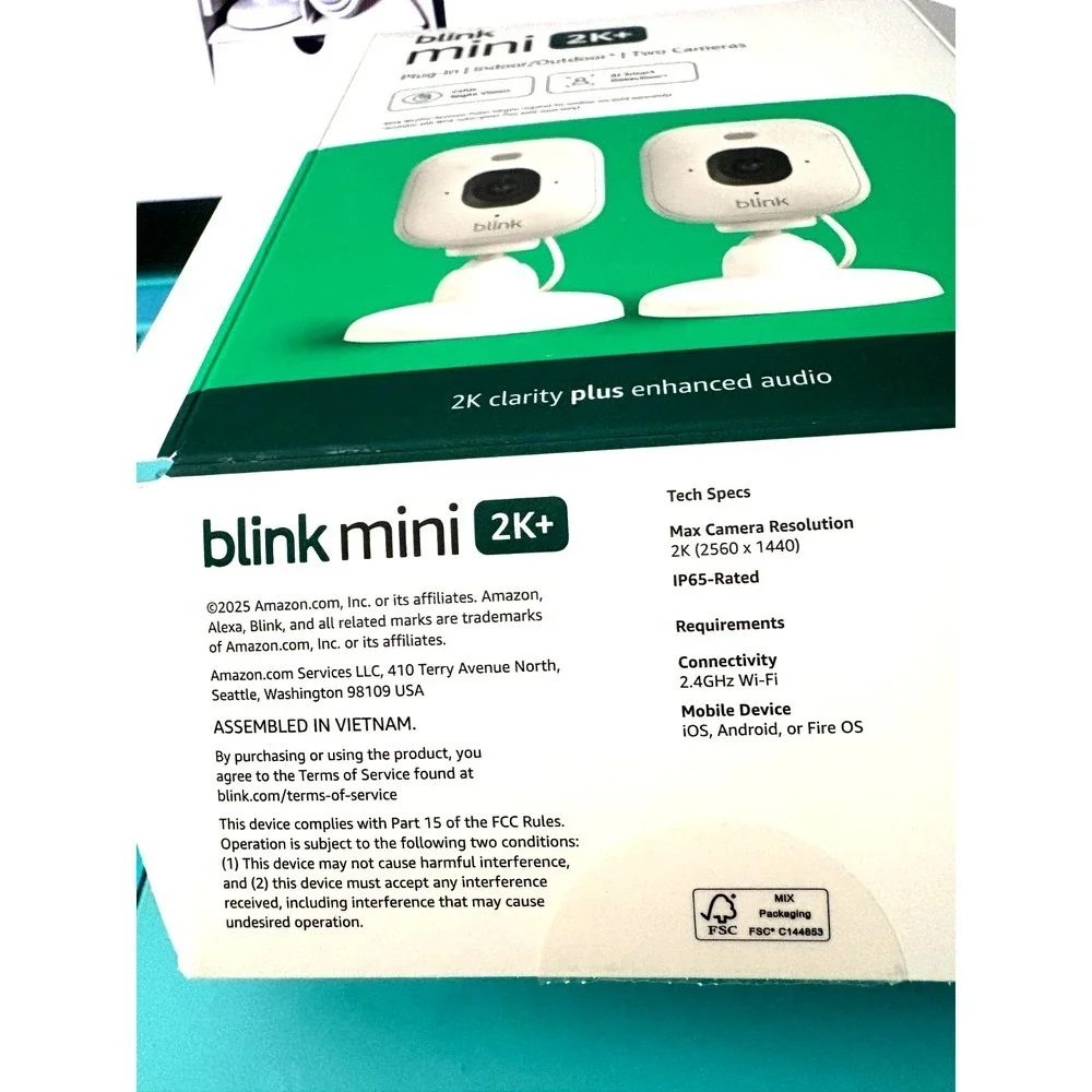 Blink mini 2k+