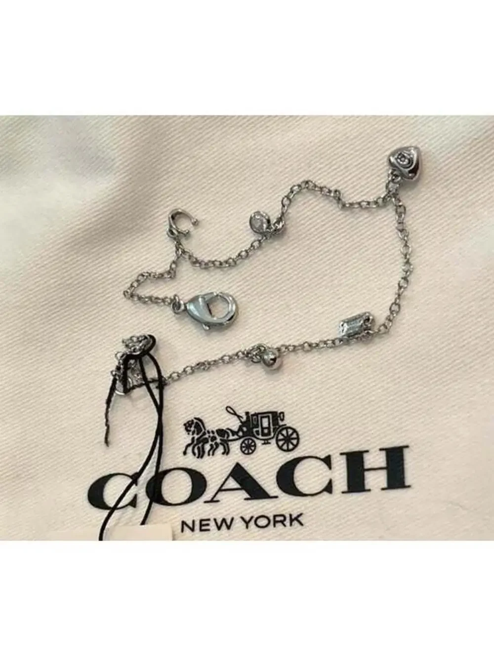 Coach this elegant