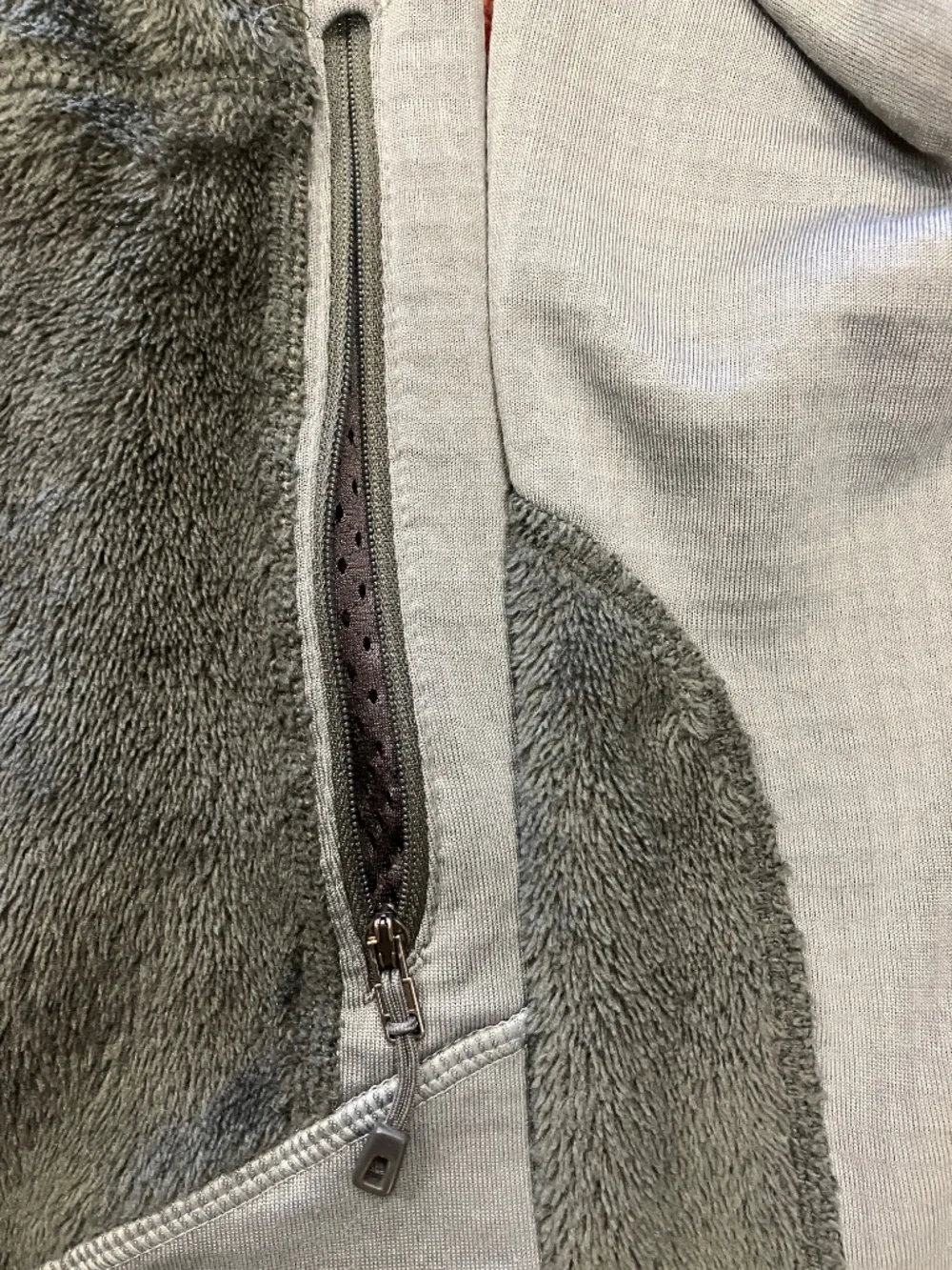 Patagonia tell moved