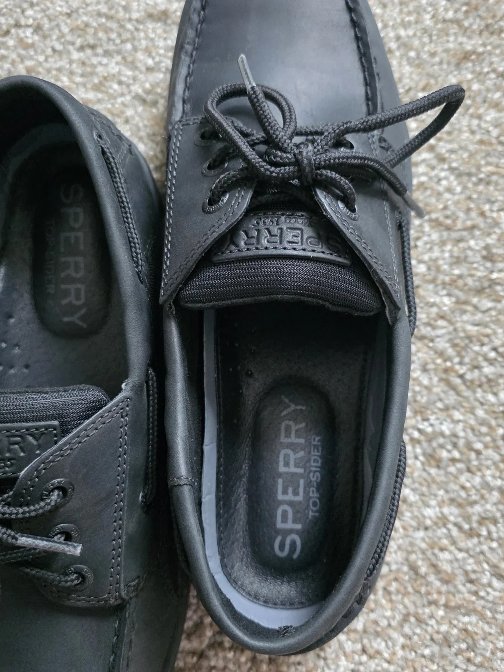 Sperry mens size