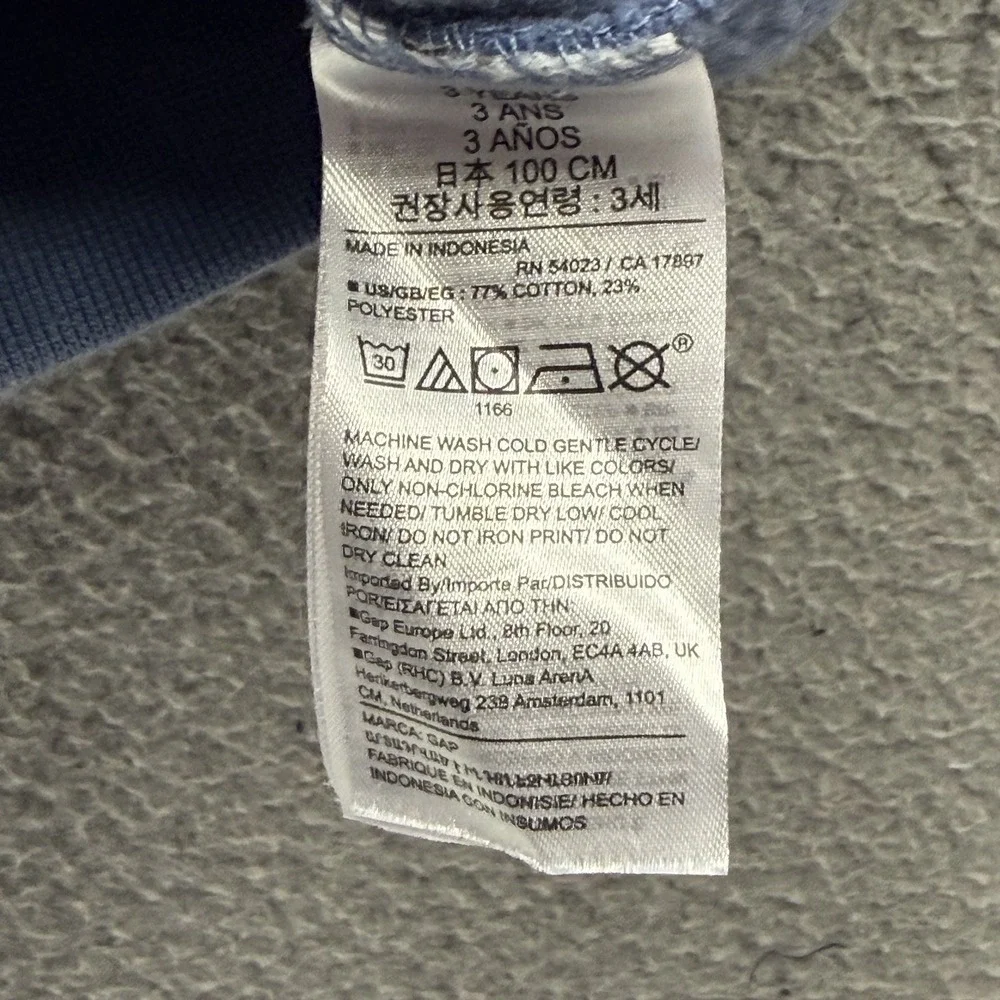 GAP hoodie toddler