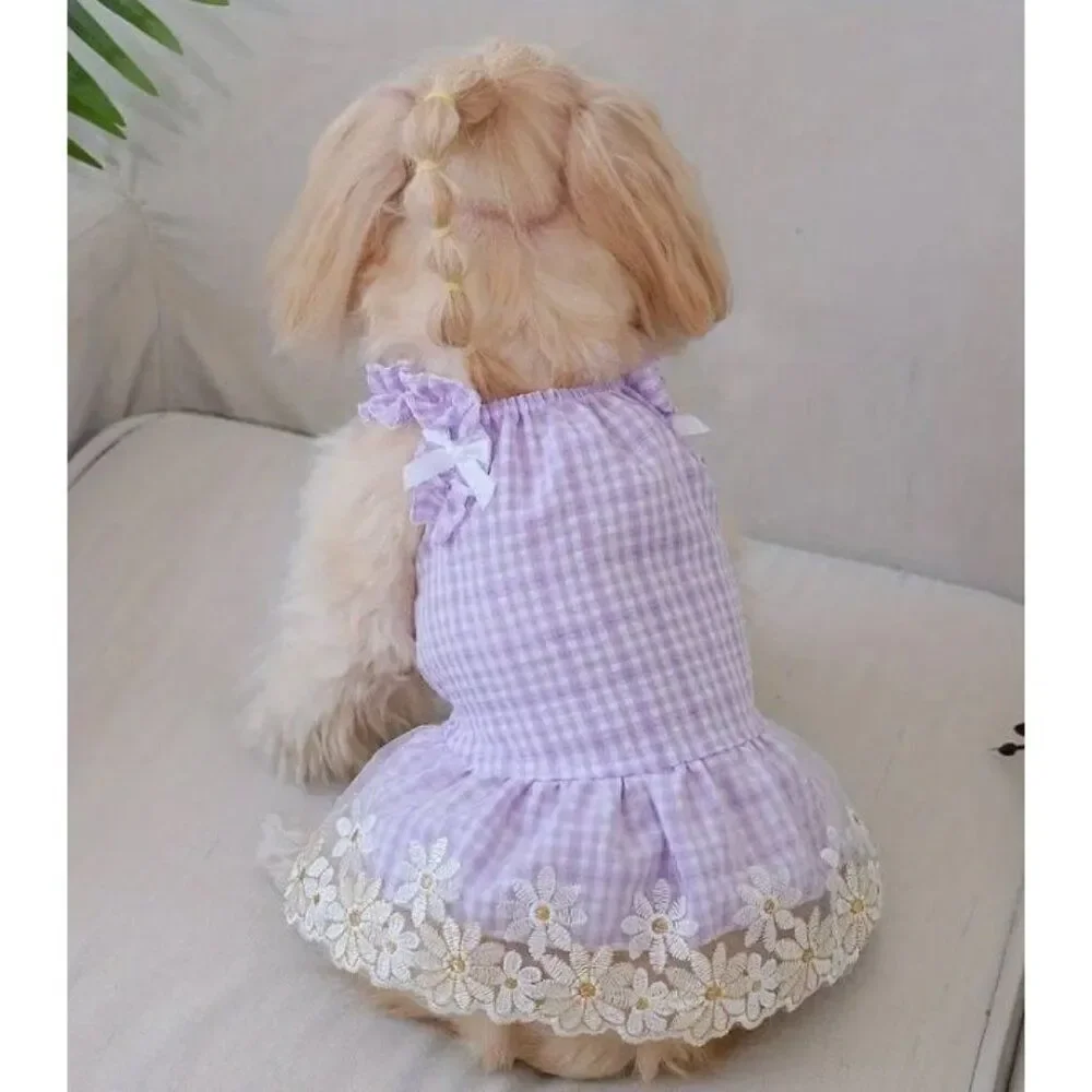 Lavender Dog‎ Cat Pet XL Dress NWOT
