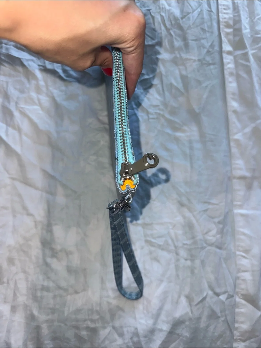Goyard blue color