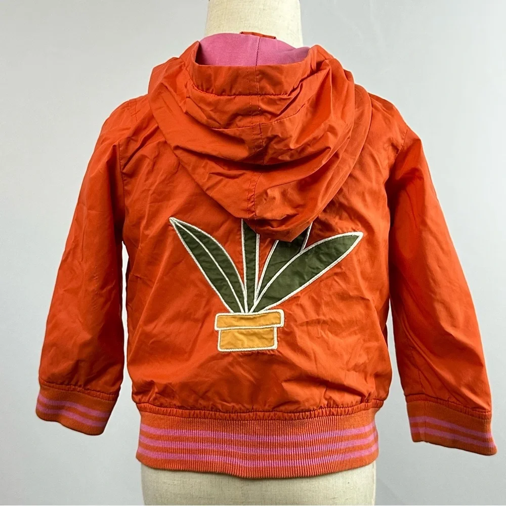 GAP brand gap	