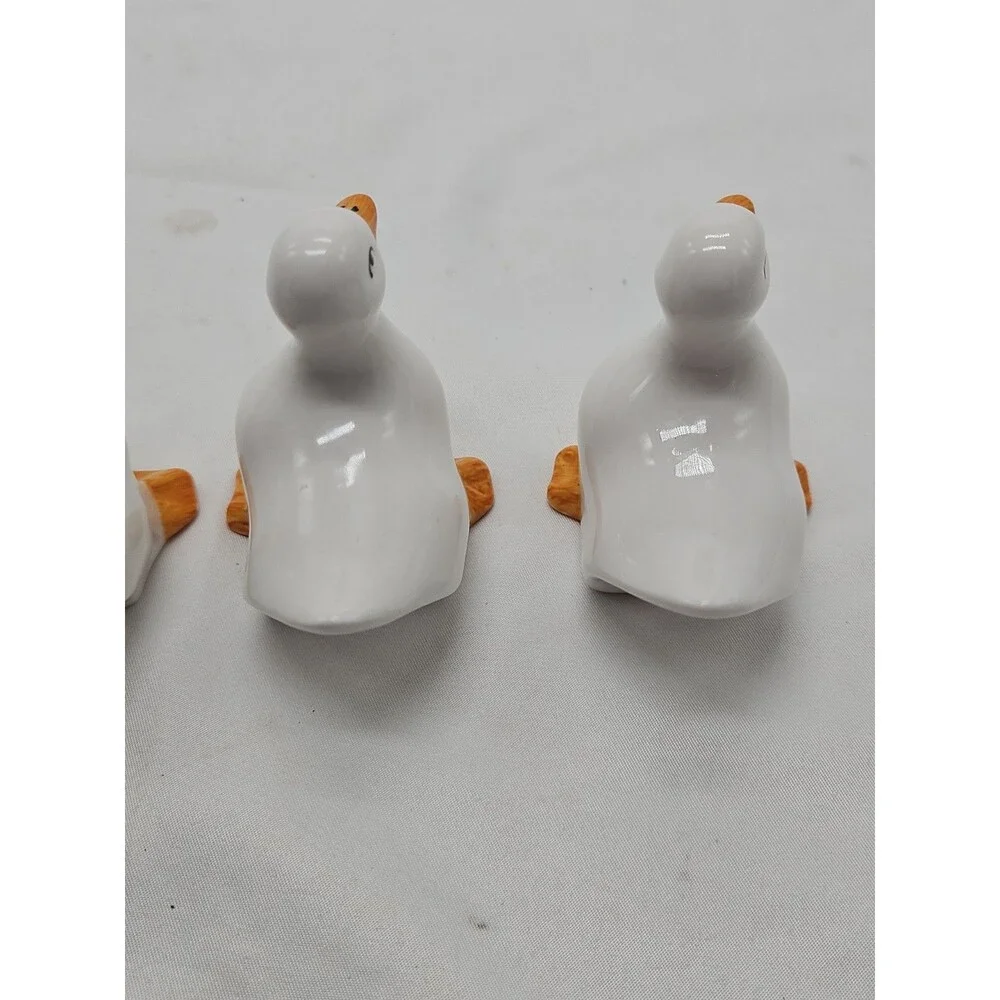 Swan pictures pre details