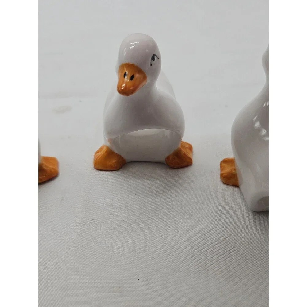 Swan pictures owned