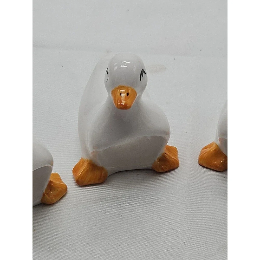 Swan details owned