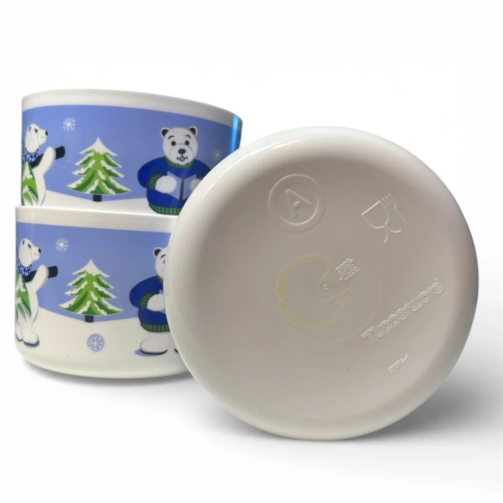 Tupperware snowboard keeper see