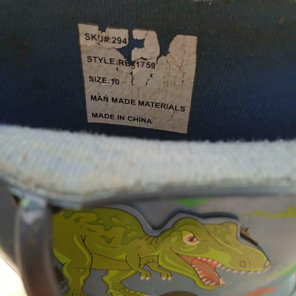 N/A fun dinosaur