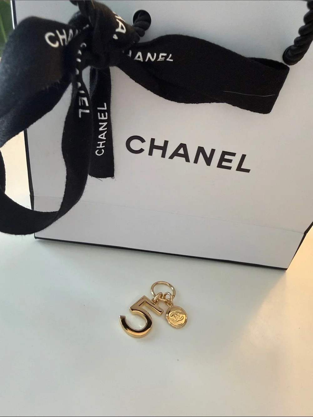 CHANEL elevate your