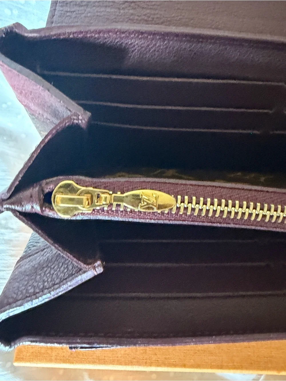 Louis Vuitton authentic louis
