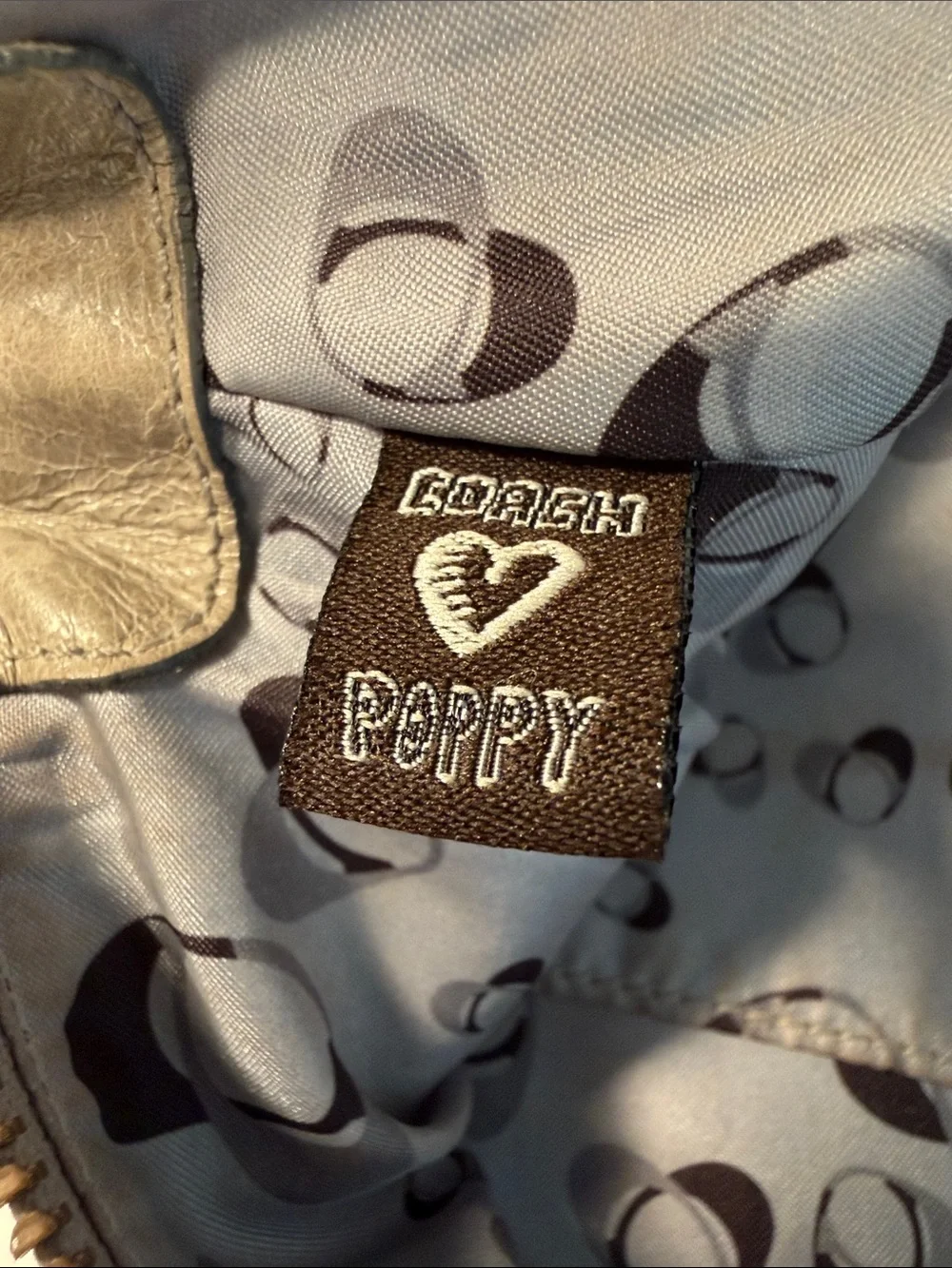 Coach poppy y2k