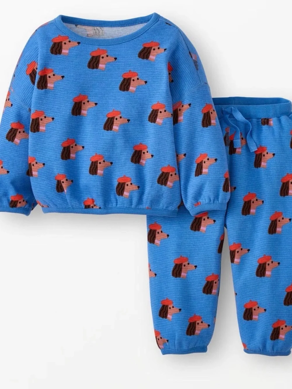 Hanna Andersson Blue Puppy Print Knit Top & Jogger Set. Unisex!