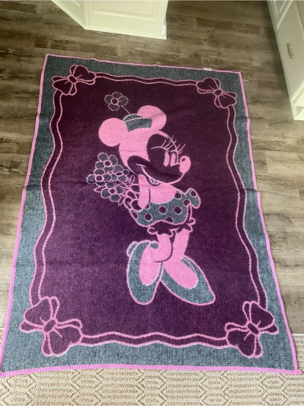 Biederlack decorative disney