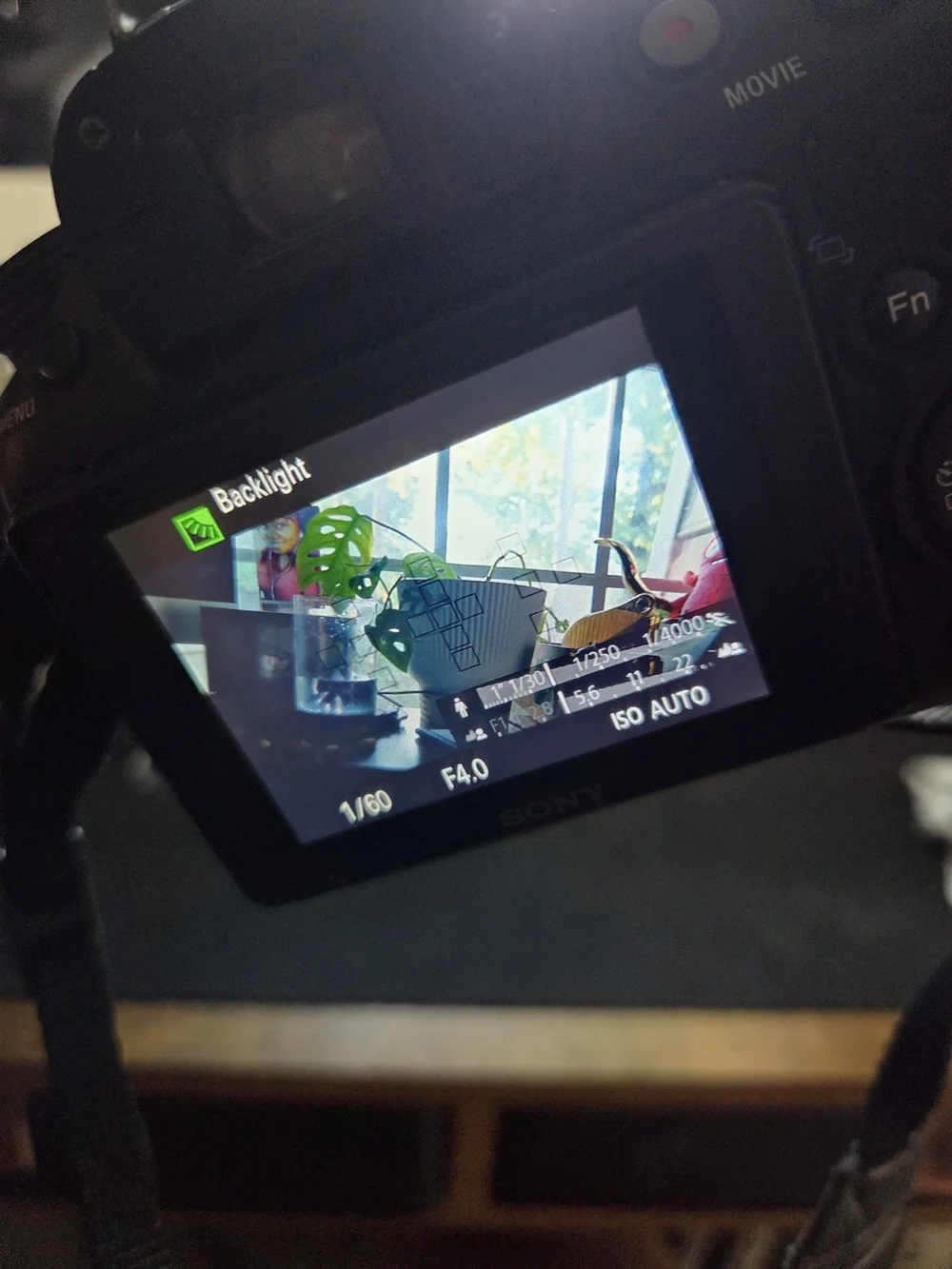 Sony compact dslr