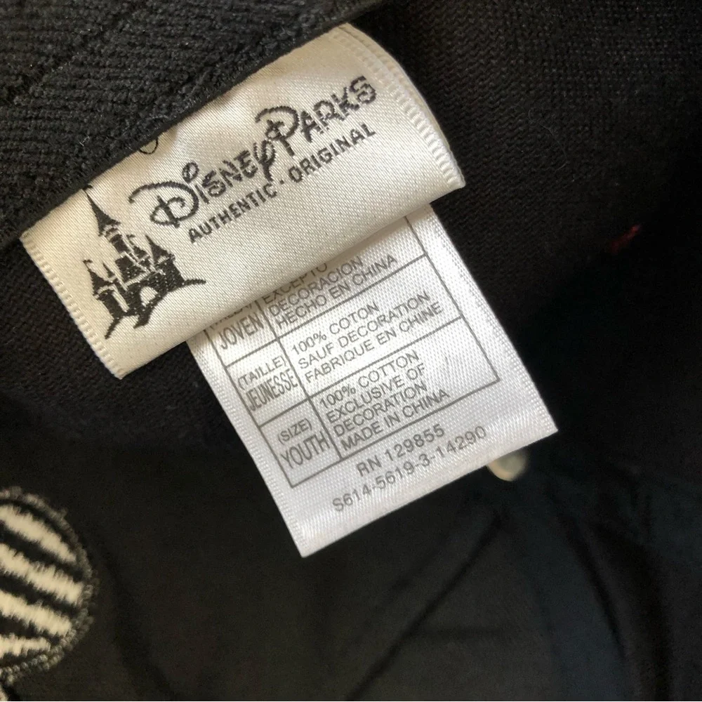 Disney authentic parks