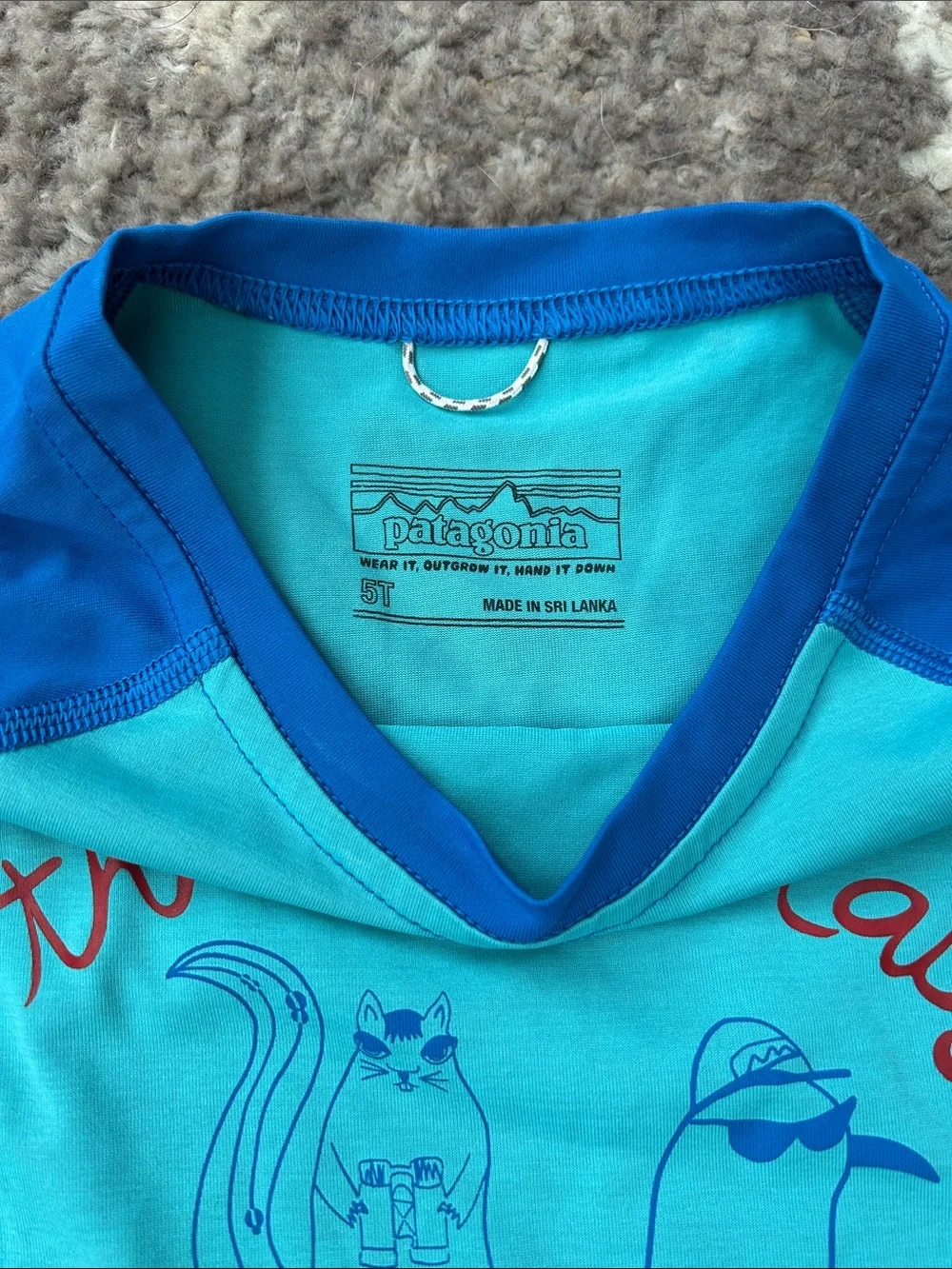 Patagonia good used