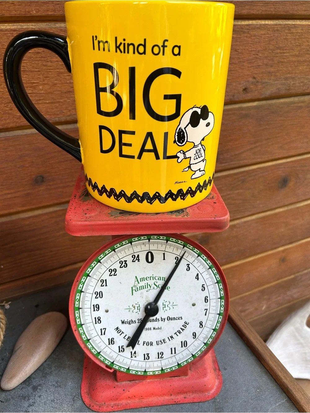Peanuts provides sat big