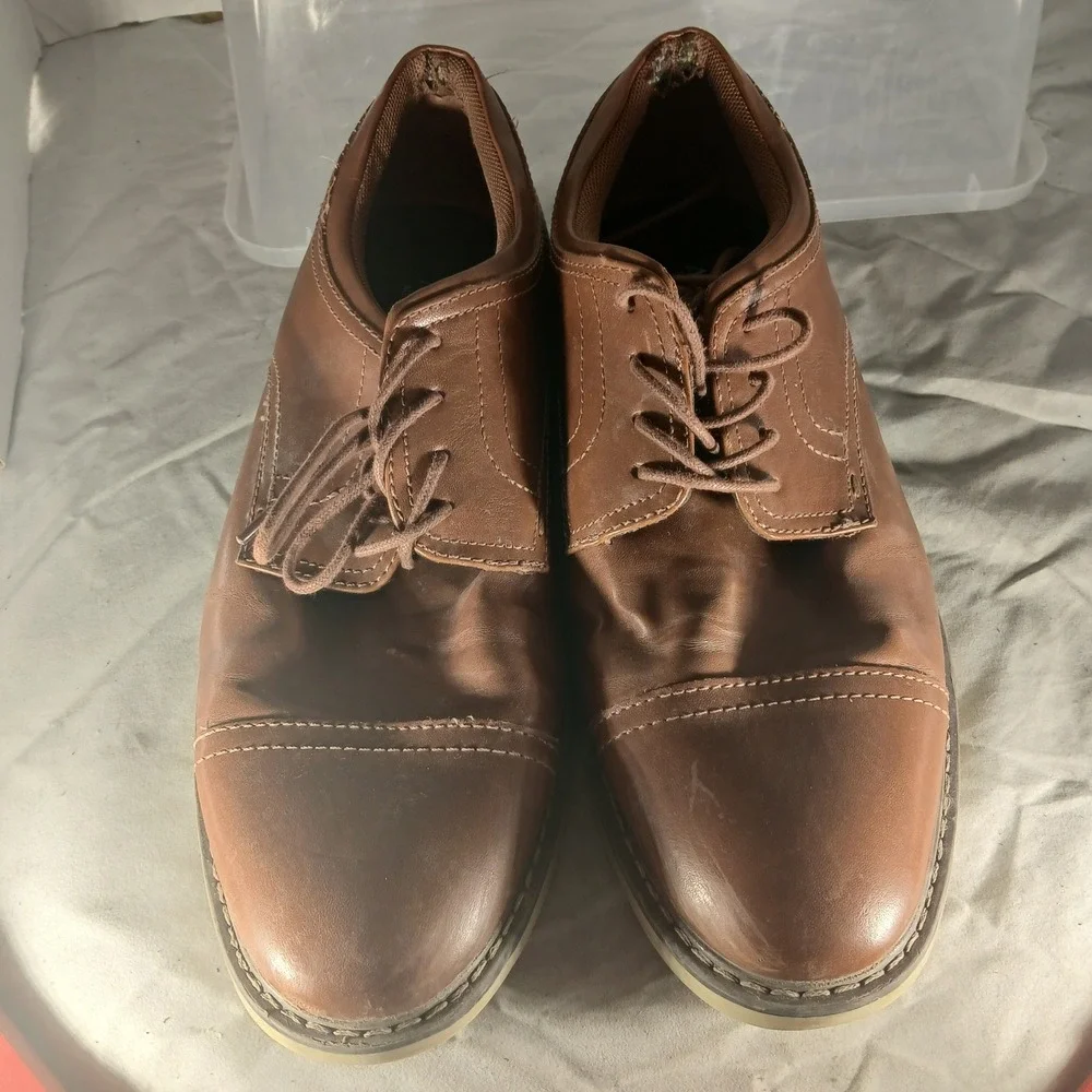 Alfani theo cap