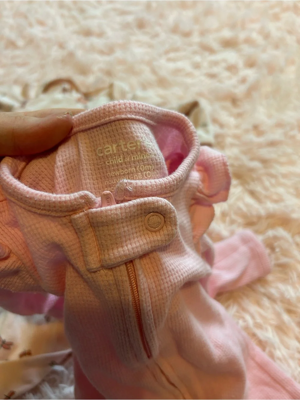 Carters soft rust
