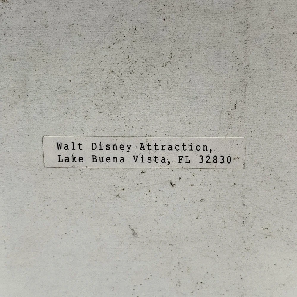 Disney buena shown purchased
