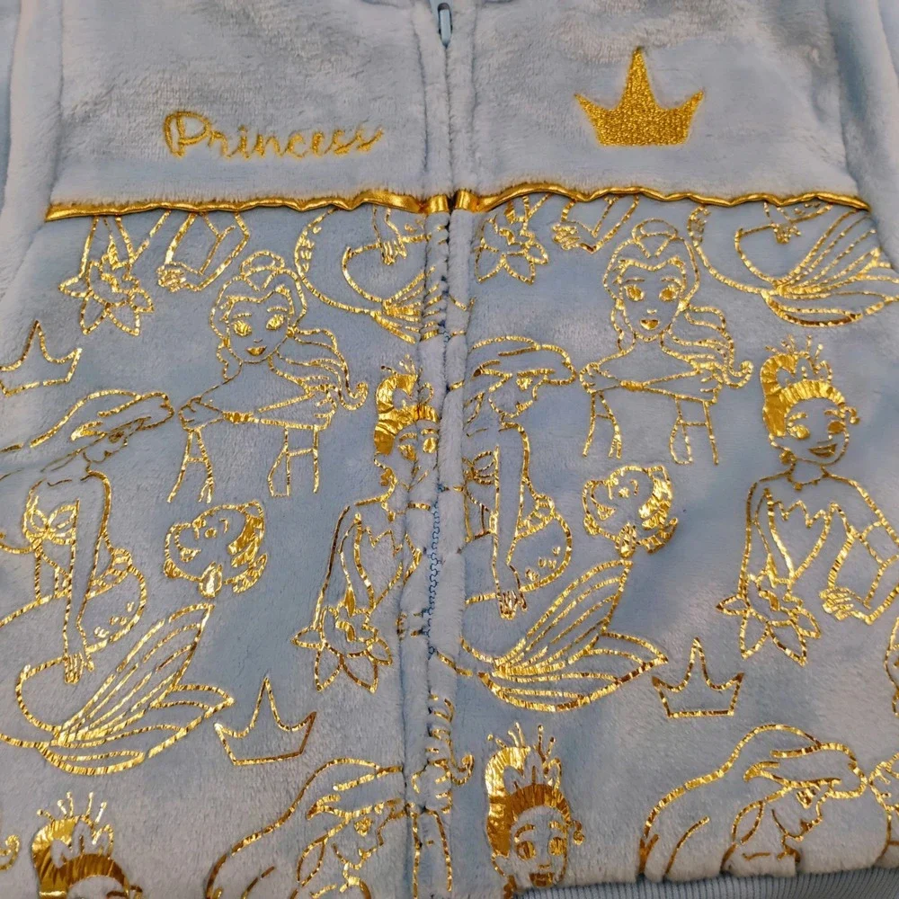 Disney cozy princess
