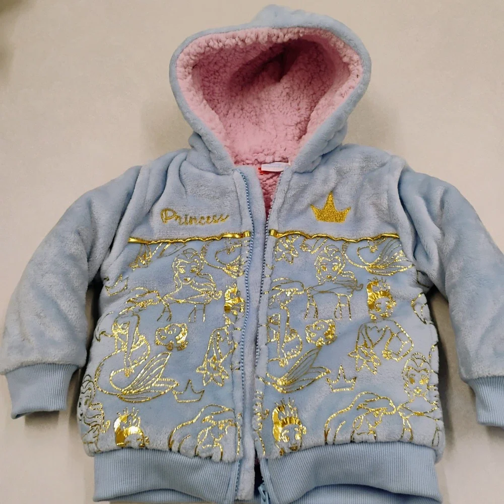 Disney cozy princess