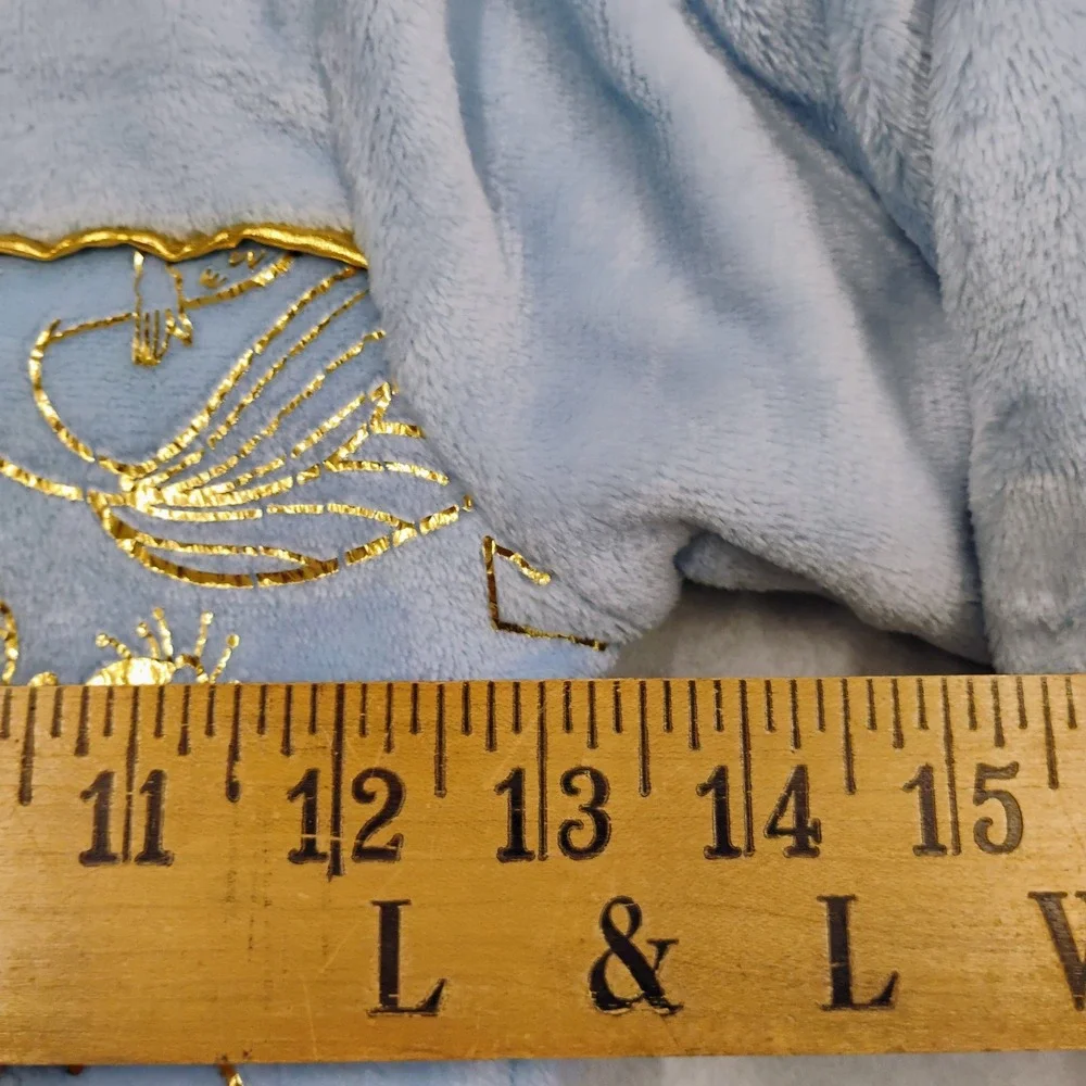 Disney cozy princess